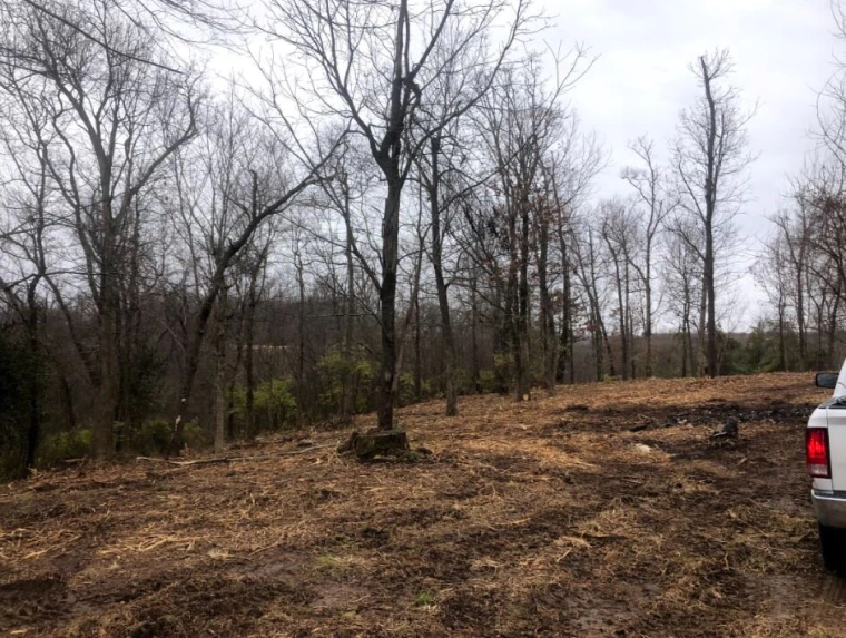 Forestry Mulching (1)