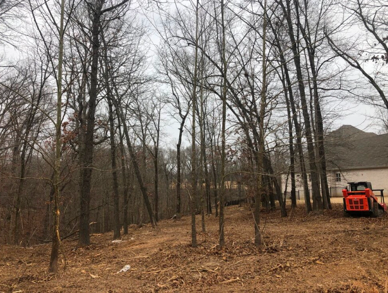 Forestry Mulching