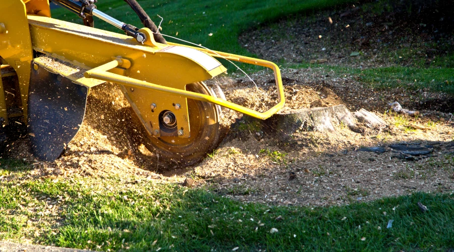 Stump Grinding 1 Stump Grinding 1